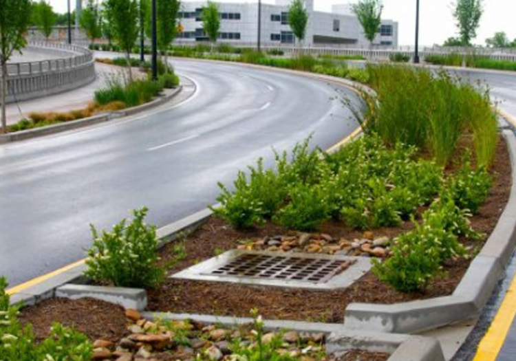 Curved road with a landscaped median featuring shrubs, storm drain, and scattered rocks. The white-edged curb contrasts with the office building and overcast sky in the background