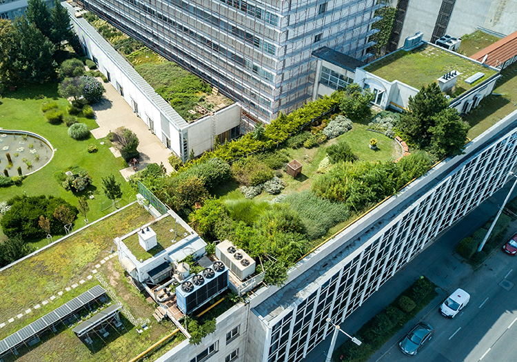 Nature-based solutions integrated into urban and building design through green infrastructure and landscaped public spaces