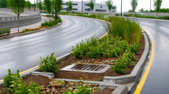 What is Green Infrastructure and Why is it so important?
