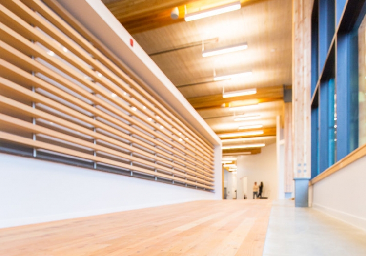 Mass Timber in Irish Construction Explained