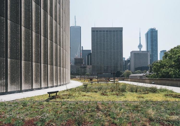 The Importance of Sustainability in Modern Architecture